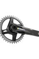 SRAM cranks with chainring - FORCE 1X D2 DUB IRIDESCENT 172.5mm - black