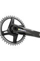 SRAM cranks with chainring - FORCE 1X WIDE D2 DUB IRIDESCENT 175mm - black