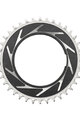 SRAM chainring - T-TYPE 38T - silver/black