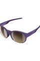 POC Cycling sunglasses - AVAIL - purple