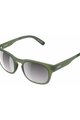 POC Cycling sunglasses - REQUIRE - green