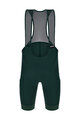 SANTINI Cycling bib shorts - RTR - green