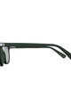 SCOTT Cycling sunglasses - RIFF POLARIZED - green