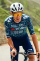AGU Cycling bib shorts - TDF 2024 TEAM VISMA | LEASE A BIKE - blue