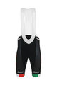 SANTINI Cycling bib shorts - DUCATI CORSE 2019 - black